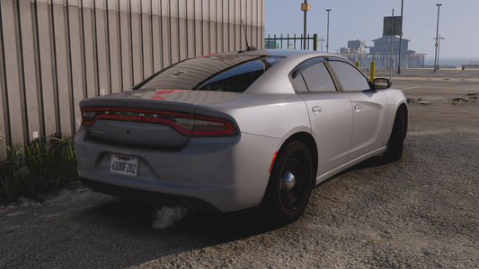 Unmarked 2018 Charger K9